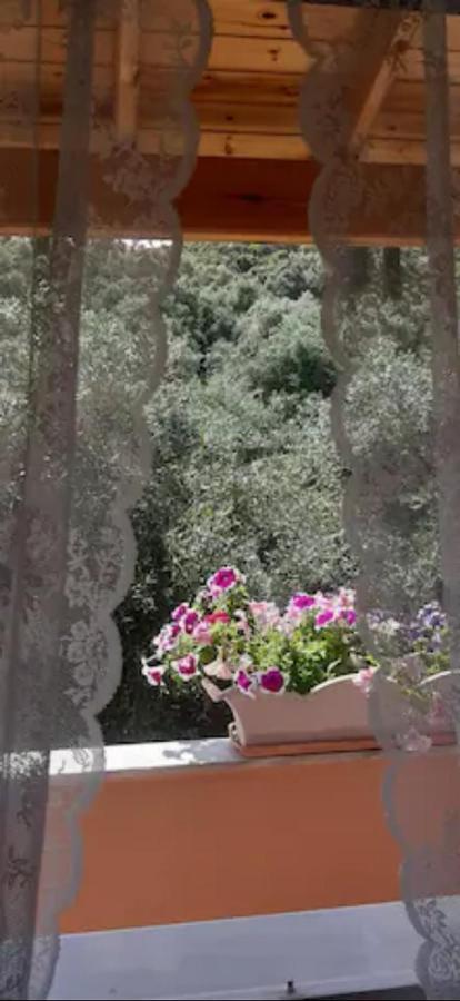 Armonia Apartments Corfu  Zewnętrze zdjęcie