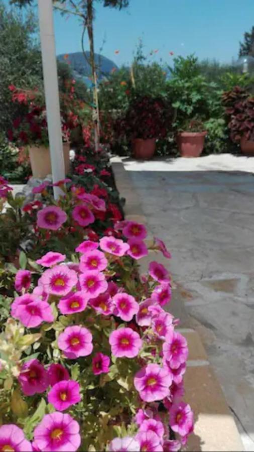 Armonia Apartments Corfu  Zewnętrze zdjęcie